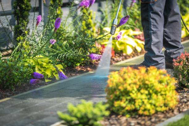 Best Post-Construction Pressure Washing  in Brookings, SD